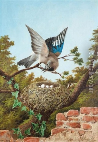 Oiseau Et Nid Oil Painting - Michelangelo Meucci