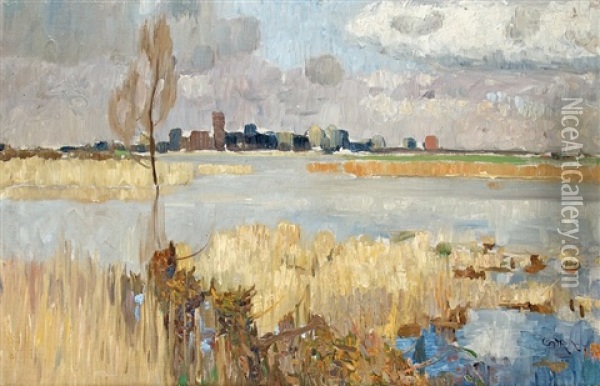 Flood Along The Rhine Oil Painting - Walter Ophey
