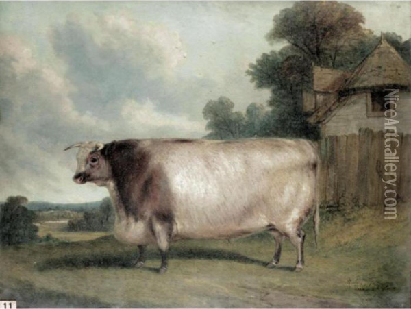 A Prize Short Horned Heifer In A Landscape Oil Painting - Richard Whitford