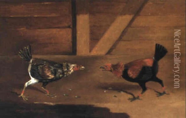 Two Fighting Cocks Oil Painting - Edwin Cooper