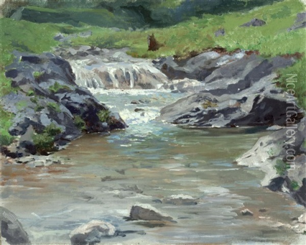 Kleiner Wasserfall Eines Bergbaches Oil Painting - Julius von Blaas