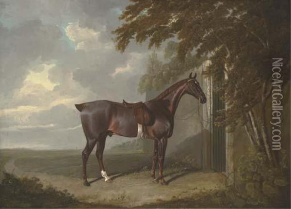 Mr. H.m. Greaves's Liver Chestnut Hunter, Tethered To A Gate Atpage Hall, Yorkshire Oil Painting - John Frederick Herring Snr