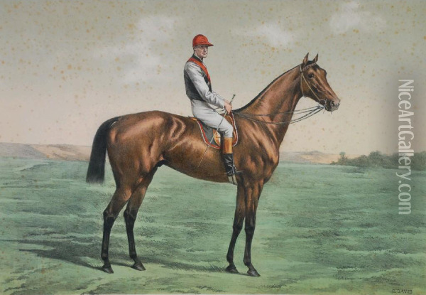 'ragotsky' A Racehorse Oil Painting - Gustave David