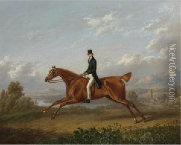 A Gentleman On A Galloping Chestnut Horse Oil Painting - Charles Towne