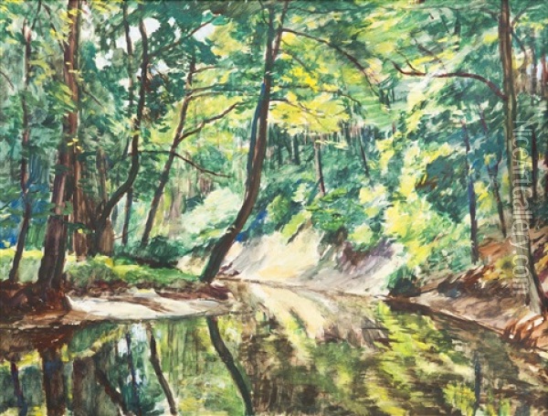 Brook In The Forest Oil Painting - Antonin Hudecek