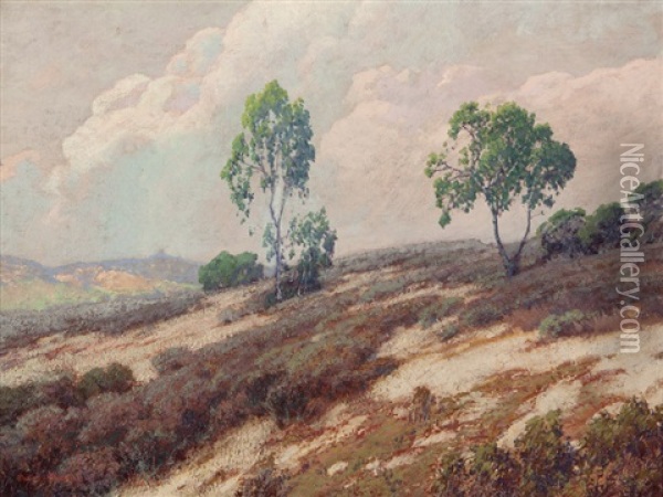 Point Loma Hill Oil Painting - Maurice Braun