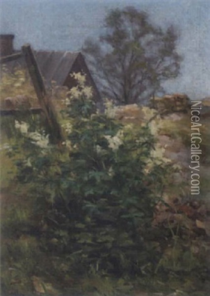 Alggras Vid Husknut Oil Painting - Johan Severin Nilsson