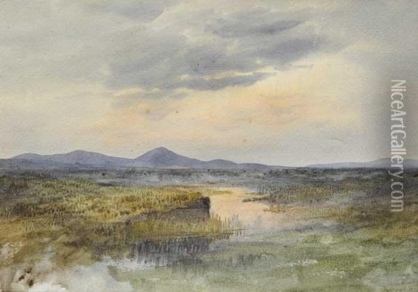 Croagh Patrick Oil Painting - William Percy French