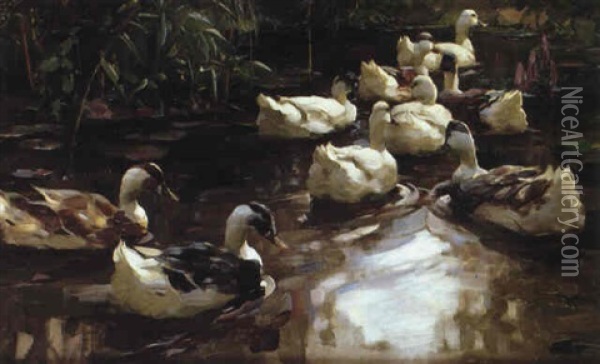 Zehn Enten Im Teich Oil Painting - Alexander Max Koester