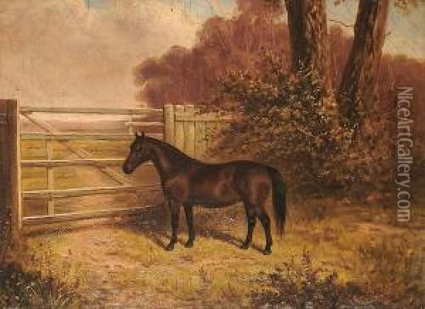 A Shetland Pony. Oil Painting - A. Clark