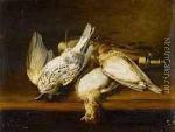 Gegenstucke: Nature Morte Aux Oiseaux Oil Painting - Ferdinand Ii Wagner