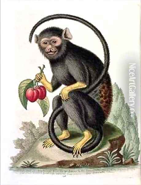 A Little Black Monkey Oil Painting - George Edwards