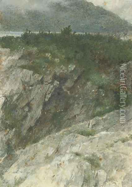 Study of a rocky promontory in the Highlands Oil Painting - Thomas Faed