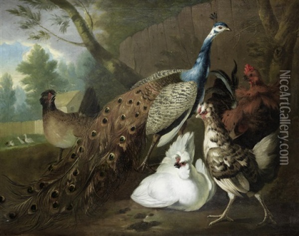 A Peacock And Other Fowl In A Farmyard Oil Painting - Pieter Casteels the Elder