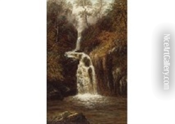 Waterfall Of Rydell Park Oil Painting - William Mellor