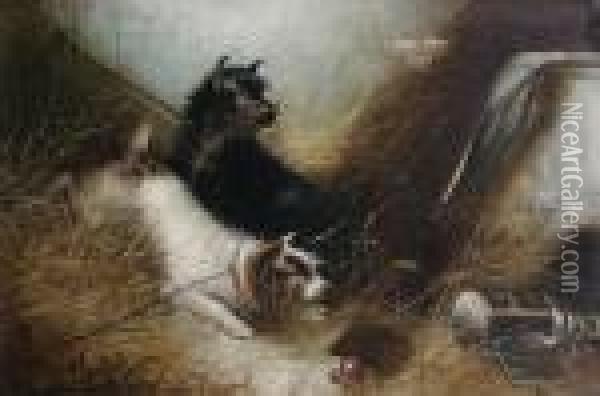Leashed Terriers At An Intruder Oil Painting - George Armfield