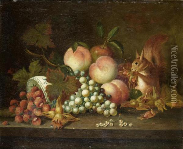 A Squirrel Eating Cobnuts With Strawberries, Grapes And Peaches Oil Painting - William Jones Of Bath