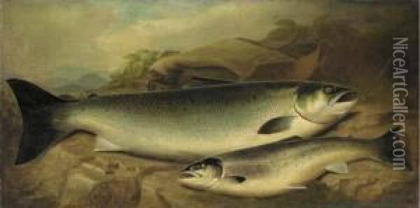 Salmon And Trout On A River Bank Oil Painting - John Russell