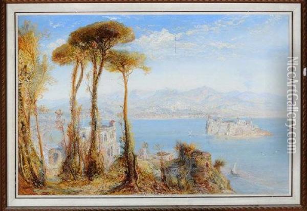 Bay At Naples With Castle And Rock Of Ischia Oil Painting - James Webb