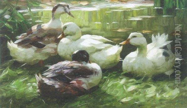 Ducks By A Quiet Pool Oil Painting - Alexander Max Koester