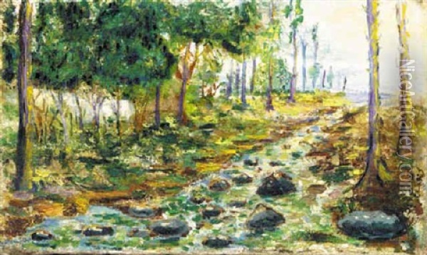 A Stream Through The Forest Oil Painting - Joaquin Clausell