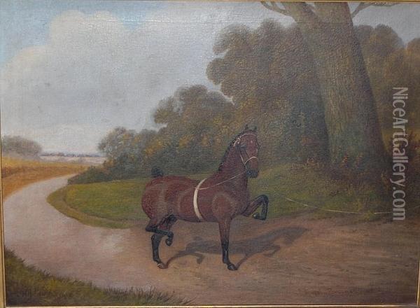 Royal Success Oil Painting - Walter Appleton Clark