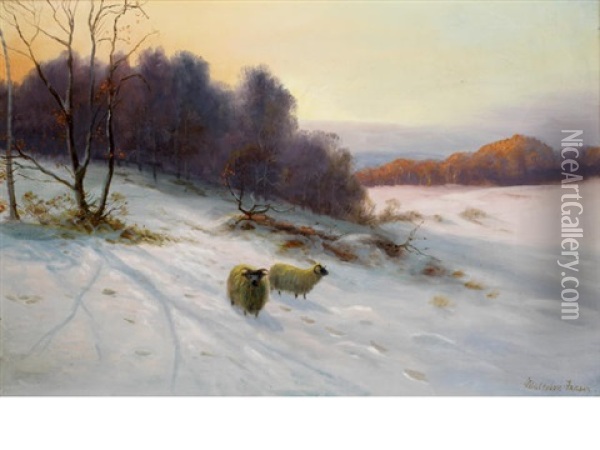 Sheep In Winter Landscape Oil Painting - Malcolm Fraser