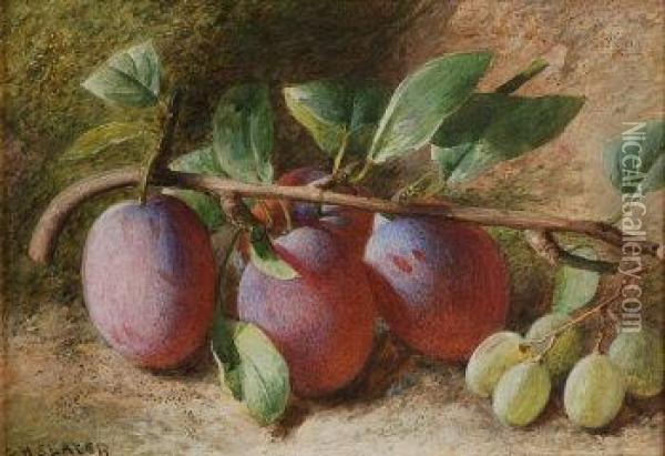 Still Life Of Damsons And White Grapes Against A Mossy Bank Oil Painting - Charles Henry Slater
