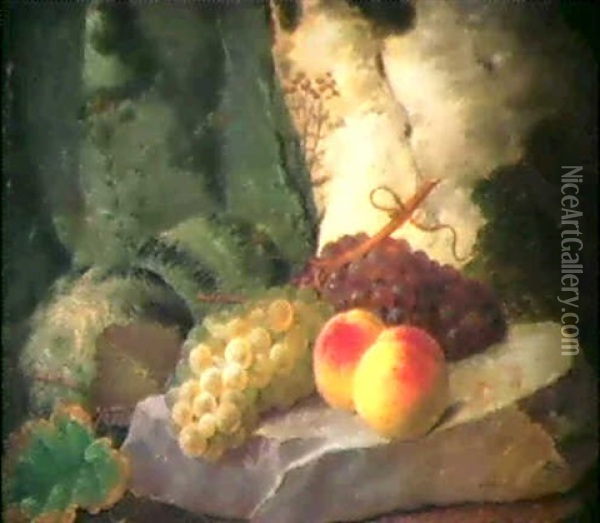 Still Life With Grapes, Melons And Peaches Oil Painting - Johannes Ludwig Camradt