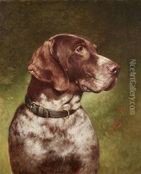 Head Of A German Shorthaired Pointer Oil Painting - Carl Reichert