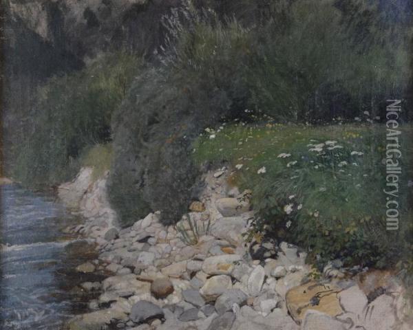 Uferboschung Mit Blumenwiese Oil Painting - Hans Sandreuter