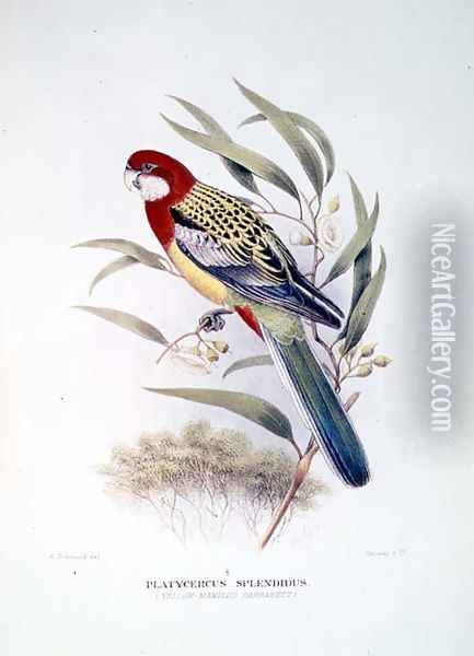 Yellow Mantled Parakeet from Birds of Australia Oil Painting - Hendrik Gronvold