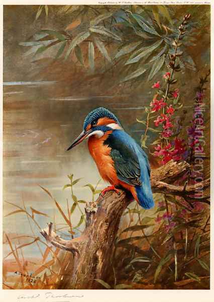 Summer Kingfisher Oil Painting - Archibald Thorburn