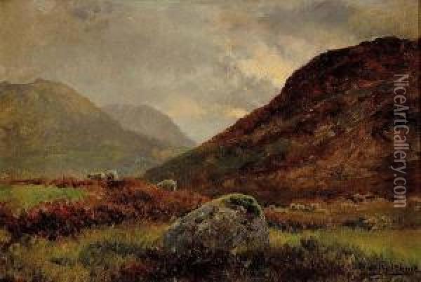 Sheep In A Highland Landscape Oil Painting - Jan Hendrik Scheltema