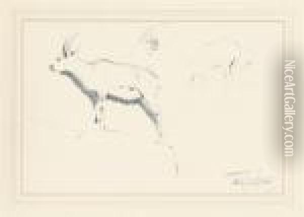 Studies Of Mountain Goats Oil Painting - Wilhelm Kuhnert