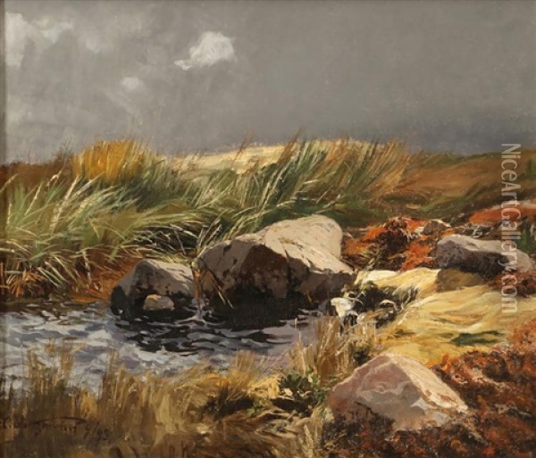 Landschaft Mit Bachlauf Oil Painting - Carl Saltzmann