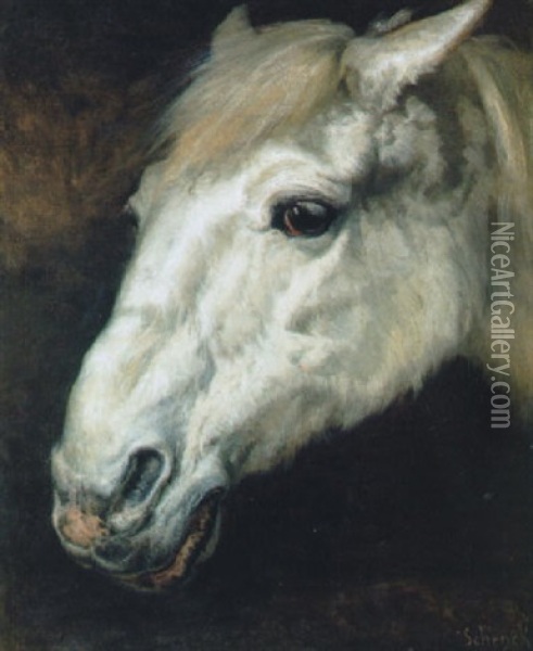 Head Of A Horse Oil Painting - August Friedrich Albrecht Schenck
