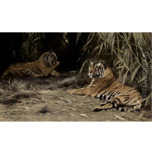 In The Jungle - Tigers Oil Painting - Wilhelm Friedrich Kuhnert