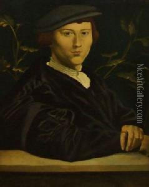 Portrait Of A Young Scholar Oil Painting - Hans Holbein the Younger