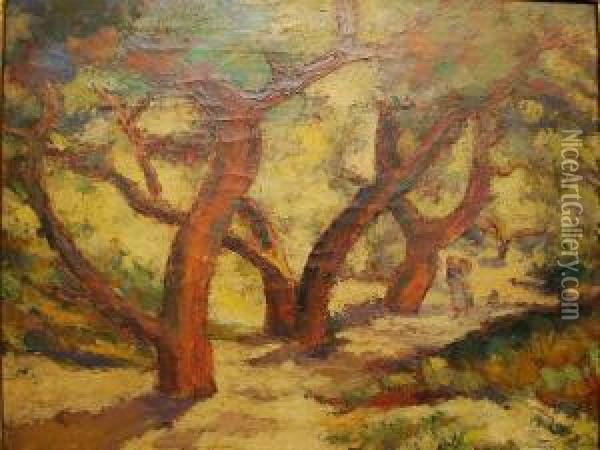 Olive Trees Oil Painting - Frederick J. Porter