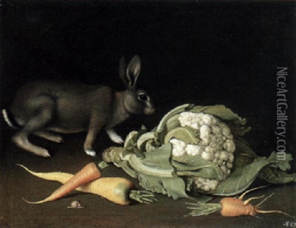 Stilleben Mit Blumenkohl, Mohren Und Einem Hasen Oil Painting - Jacob Samuel Beck