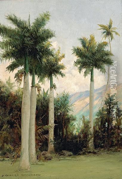 Royal Palms At Moanalua, Near Honolulu Oil Painting - David Howard Hitchcock