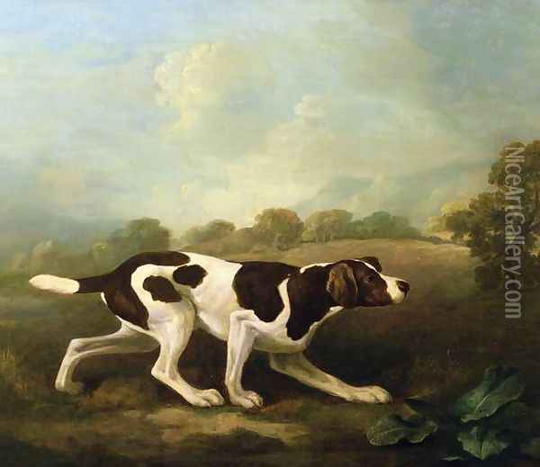 A Pointer Oil Painting - George Stubbs
