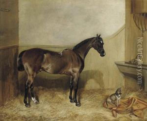 A Bay Hunter In A Stable With A Terrier Oil Painting - John Arnold Wheeler