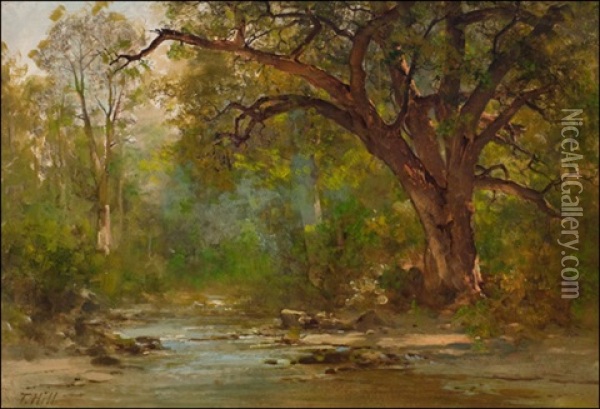 Brook Scene Oil Painting - Thomas Hill