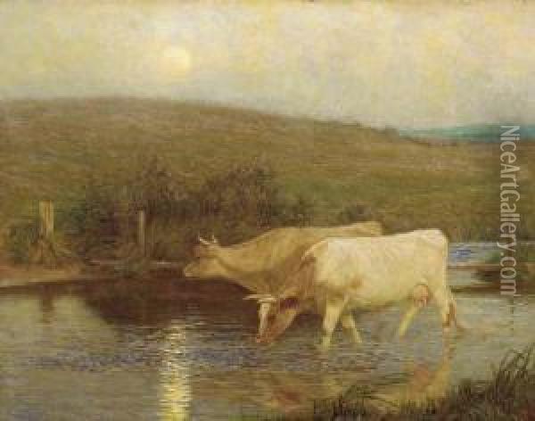 Cattle Watering Oil Painting - William Henry Gore