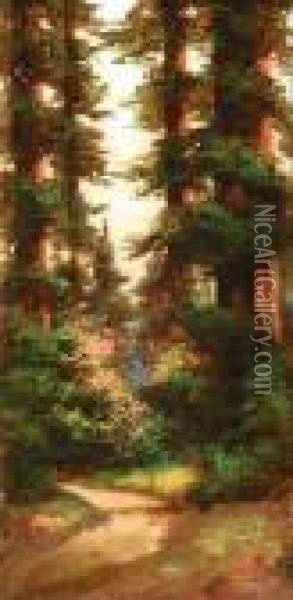 Path Through The Redwoods, Mt. Tamalpais Oil Painting - Richard Detreville