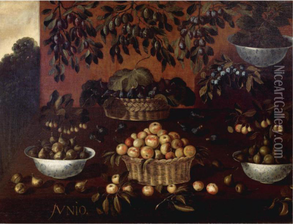 An Allegory Of The Month Of June: Still Life Of Apples, Plums, Figs And Blackberries In Wicker Baskets And Porcelain Bowls, Arranged On A Stepped Ledge, With Branches Of Plums Suspended From Above Oil Painting - Francisco Barrera