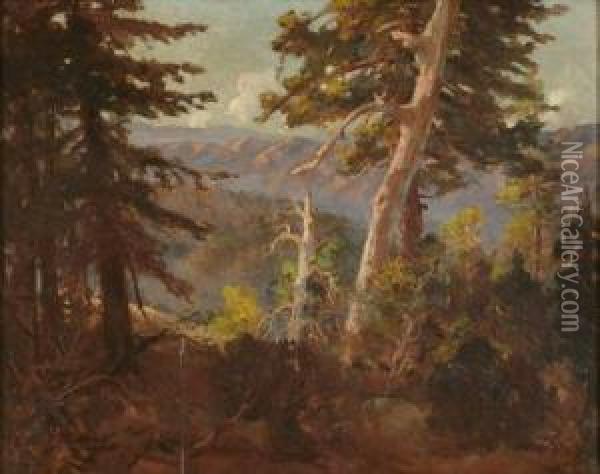 Sunlit Trees In A Mountain Landscape Oil Painting - John Bond Francisco