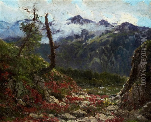 Hochgebirgslandschaft Oil Painting - Karel Klar